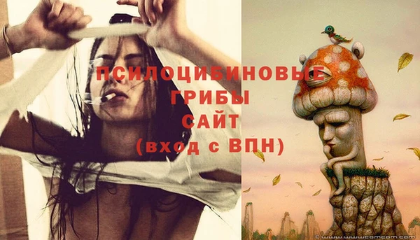 ECSTASY Богородск