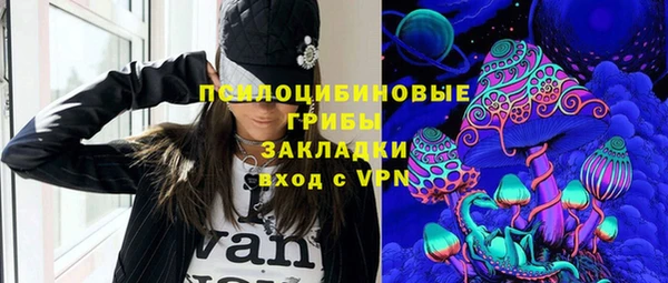 метадон Богородицк