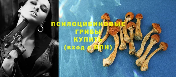 метадон Богородицк
