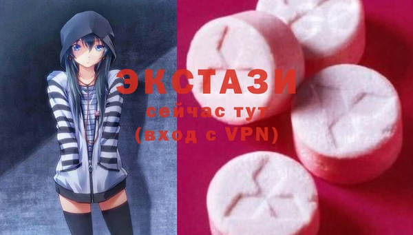 ECSTASY Богородск