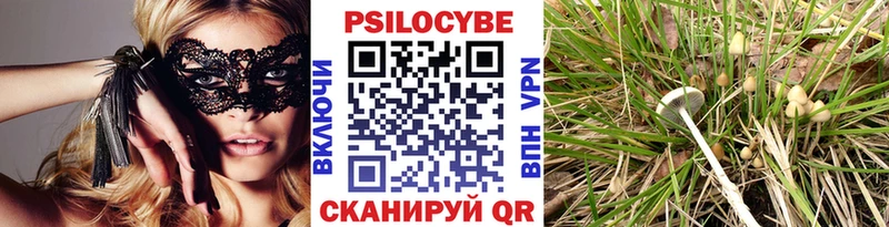 Псилоцибиновые грибы ЛСД Дятьково